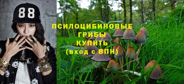 прущие крисы Бронницы