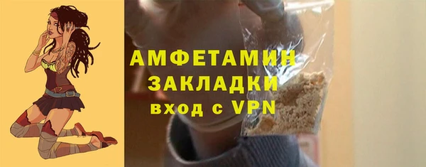гидра Бородино