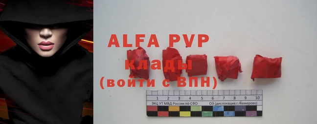 гидра Бородино