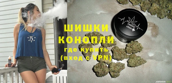 сатива Рославль