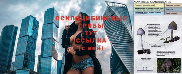 гидра Бородино