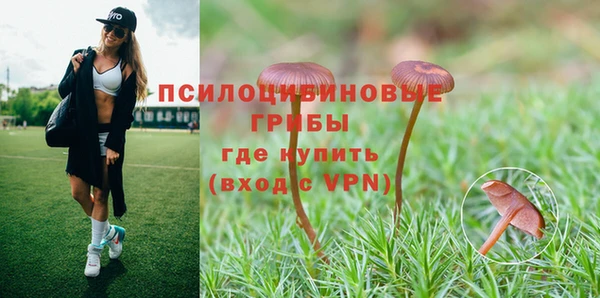 гидра Бородино