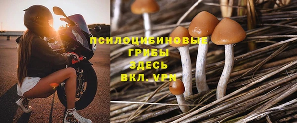винт Бугульма