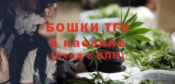 гидра Бородино