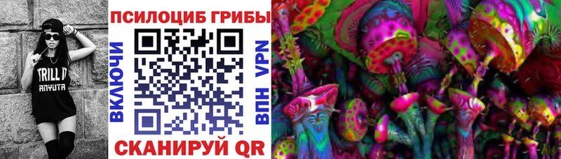 darknet какой сайт  Можайск  Псилоцибиновые грибы Magic Shrooms  закладка 